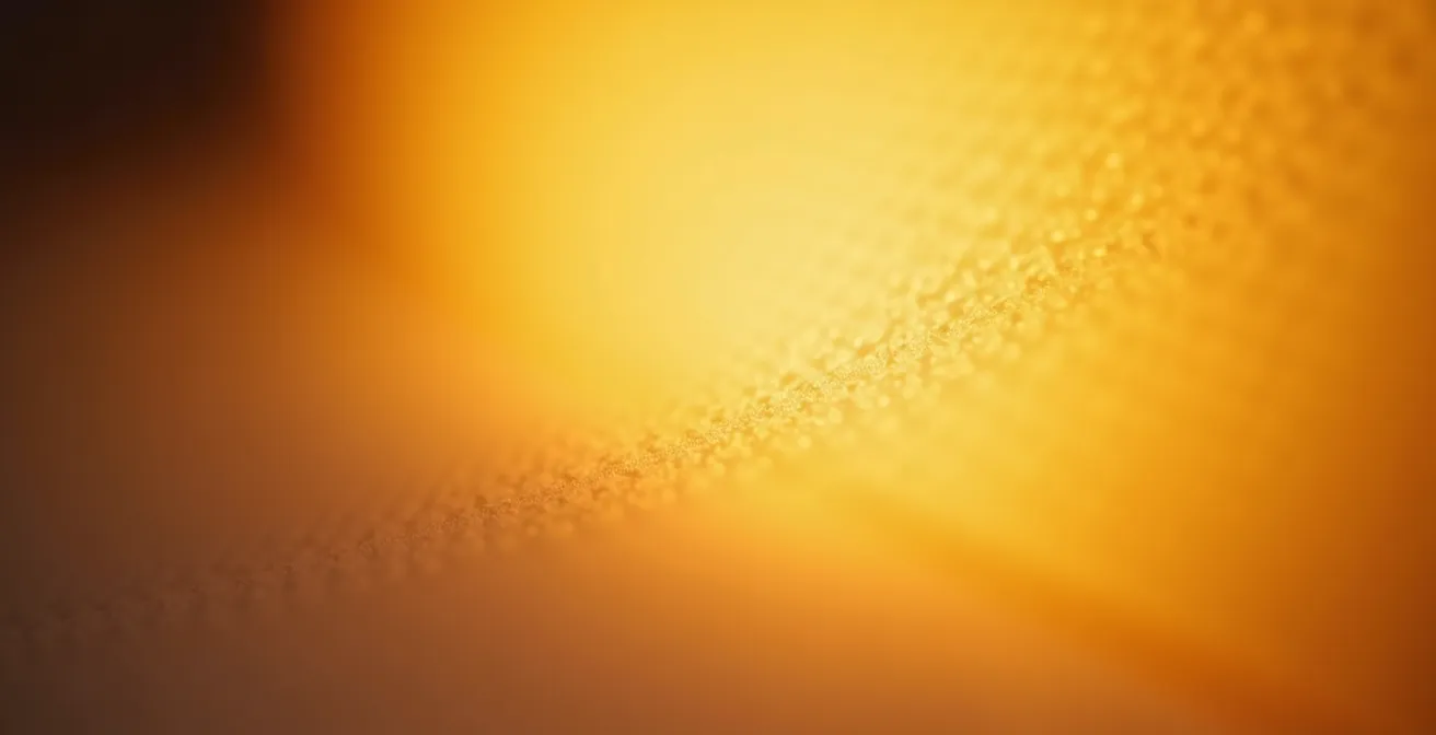 Extreme close-up of wake-up light surface showing gradient from warm amber to bright white illumination